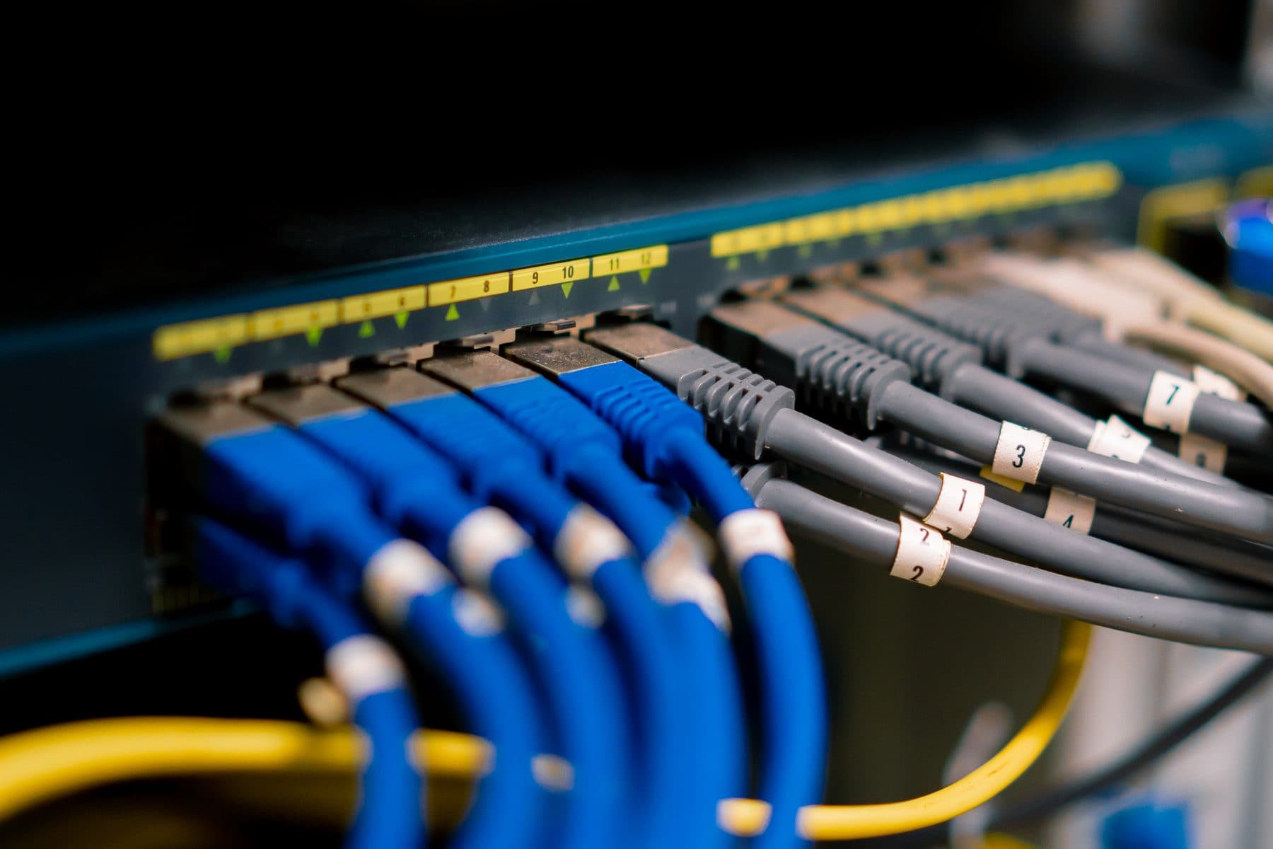 Patch cables plugged into a network switch